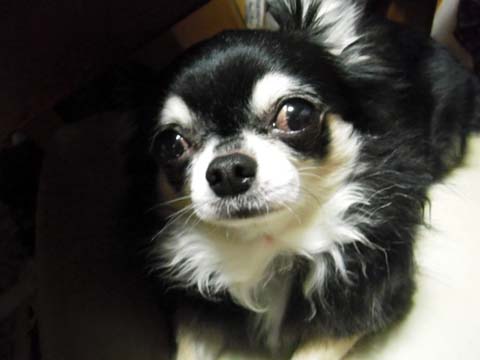 e0177509_23341841.jpg