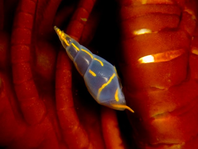 d0175710_21585680.jpg
