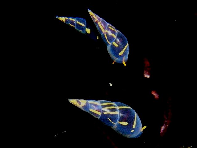 d0175710_21591255.jpg