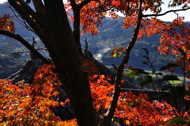 深耶馬渓と羅漢寺〔11月21日〕_f0083611_239419.jpg