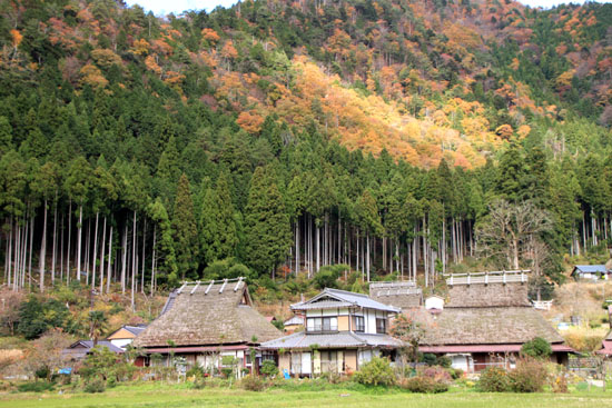 美山町 かやぶきの里 秋色_e0048413_18481462.jpg