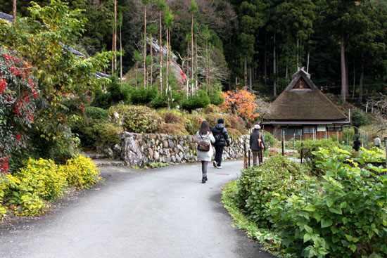 美山町 かやぶきの里 秋色_e0048413_18484843.jpg