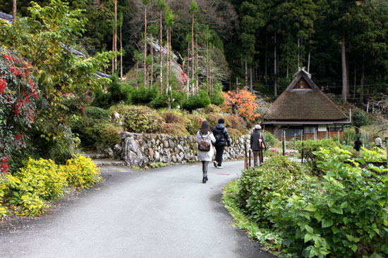 美山町　かやぶきの里　秋色_e0048413_18484843.jpg