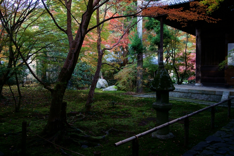 蓮華寺_e0177413_18544851.jpg