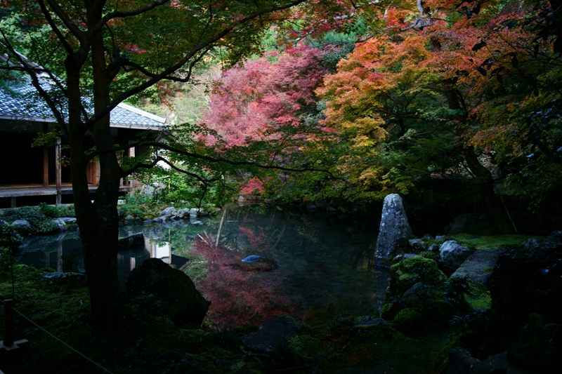 蓮華寺_e0177413_18591297.jpg