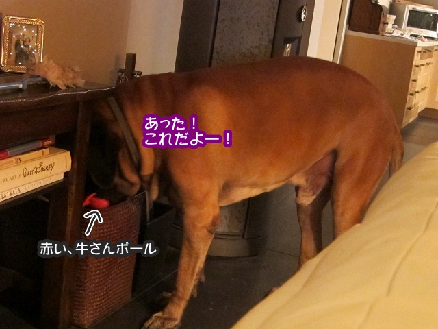 イチャイチャ系の_e0192217_10231164.jpg