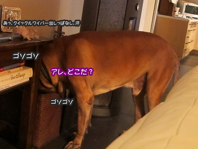 イチャイチャ系の_e0192217_102329.jpg