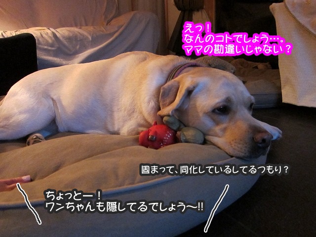 イチャイチャ系の_e0192217_10233524.jpg