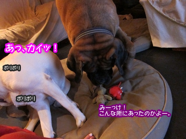 イチャイチャ系の_e0192217_10234471.jpg