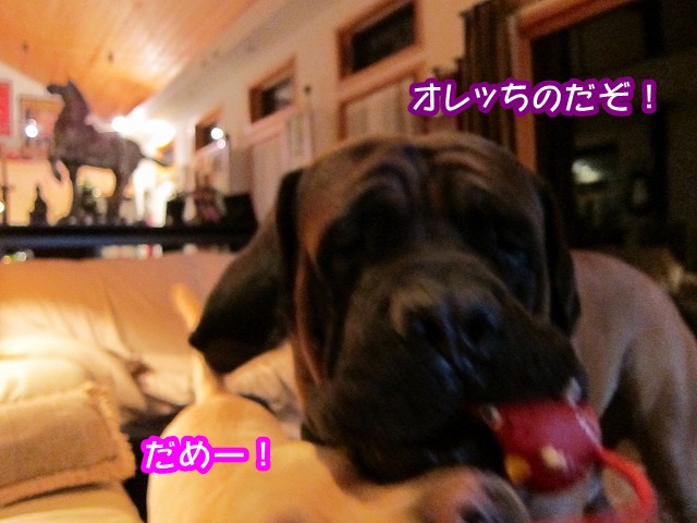 イチャイチャ系の_e0192217_10235637.jpg