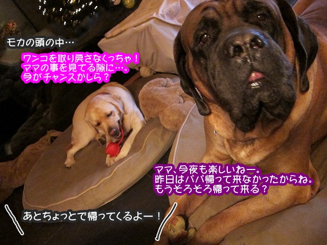 イチャイチャ系の_e0192217_10241064.jpg