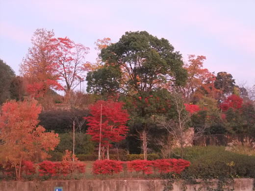 e0135518_13443371.jpg
