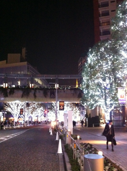 e0223120_923395.jpg