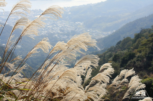 209 野呂山 ～瀬戸内の紅葉～_c0211532_19315683.jpg