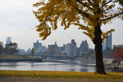 b0165233_10154175.gif