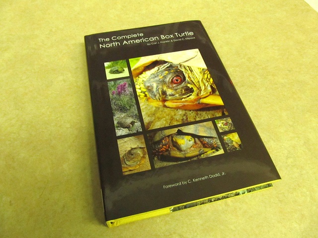 2012年版カメのカレンダー入荷!_b0174337_23535916.jpg