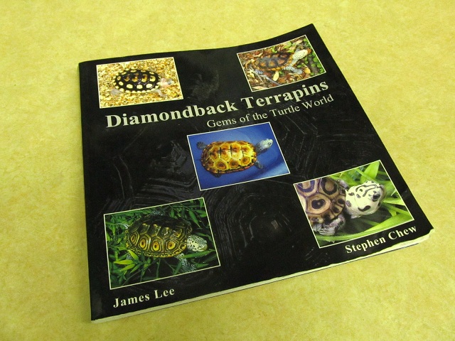 2012年版カメのカレンダー入荷!_b0174337_23543133.jpg