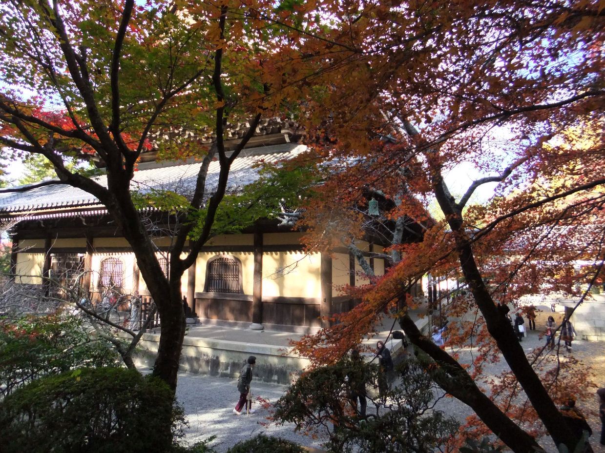 京都の紅葉２０１１（上）_c0051938_1610355.jpg