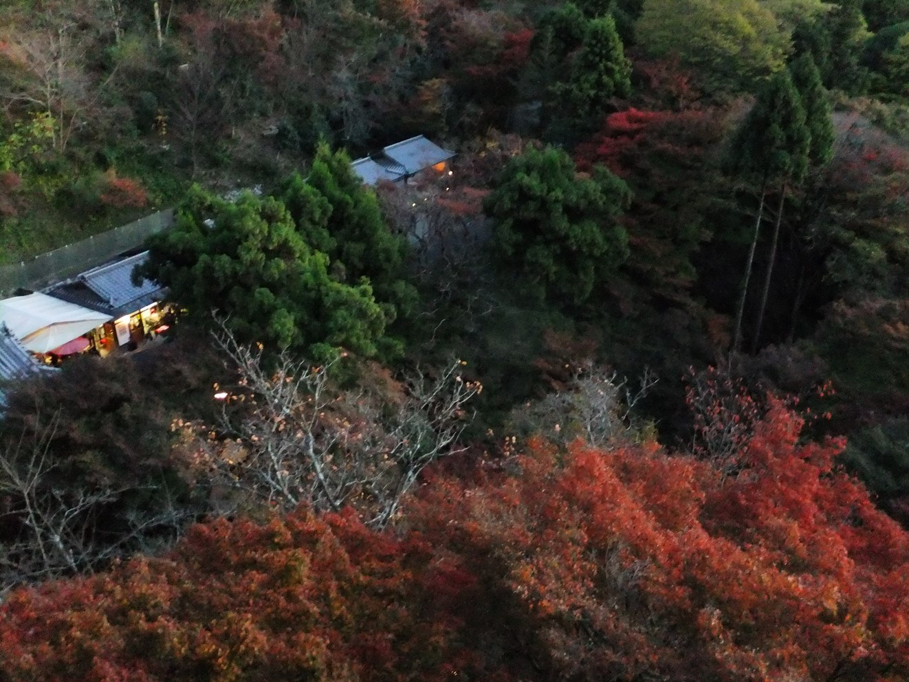 京都の紅葉２０１１（上）_c0051938_16115649.jpg