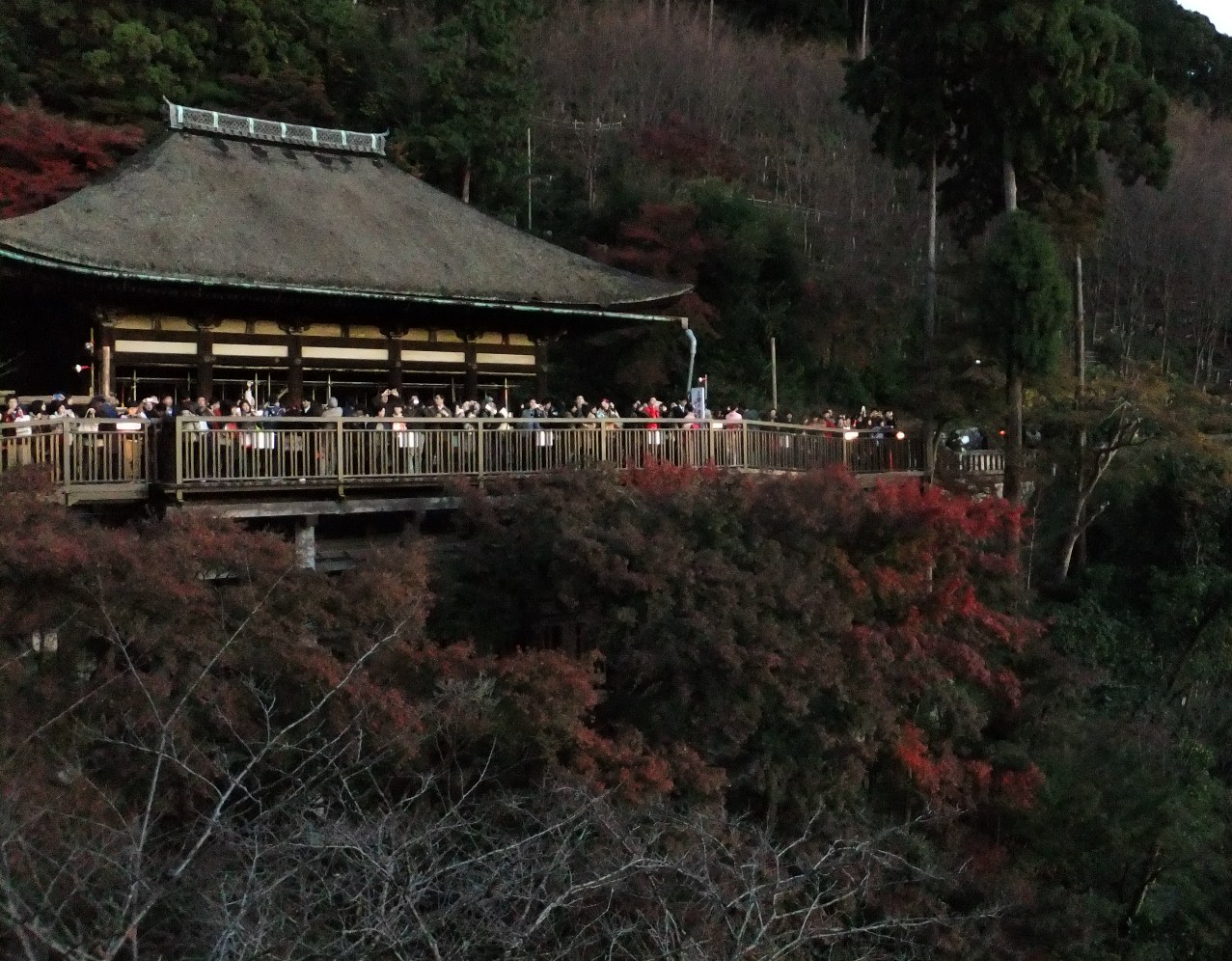 京都の紅葉２０１１（上）_c0051938_16122862.jpg