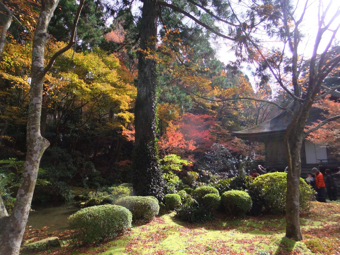 京都の紅葉２０１１（上）_c0051938_1674155.jpg