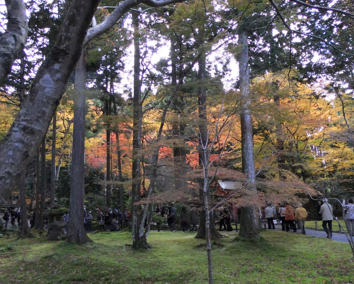 京都の紅葉２０１１（上）_c0051938_1685333.jpg