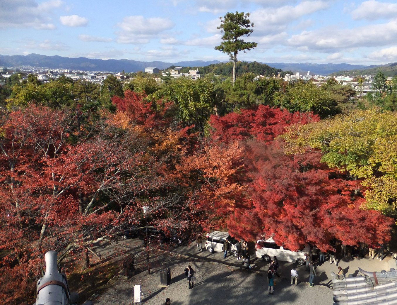 京都の紅葉２０１１（上）_c0051938_16933100.jpg