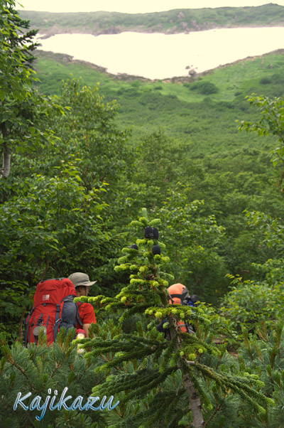 a0166940_23501487.jpg