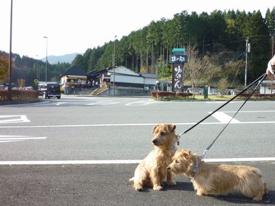 『道の駅　童話の里くす』から湯布院へ～_c0211540_05926100.jpg