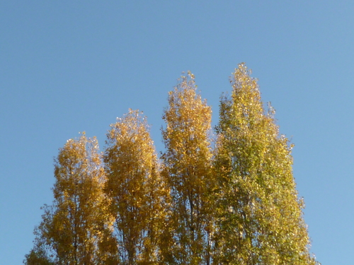 d0170140_2352161.jpg