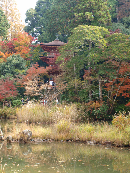 浄瑠璃寺、岩船寺、平城京。_a0232543_20461669.jpg