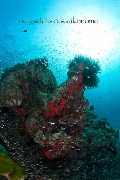 e0075145_21581894.jpg