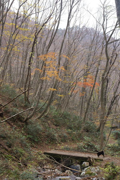 f0214649_61933.jpg