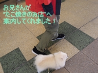 d0054461_18155181.jpg