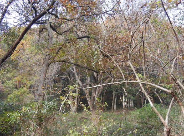 b0129962_1223415.jpg