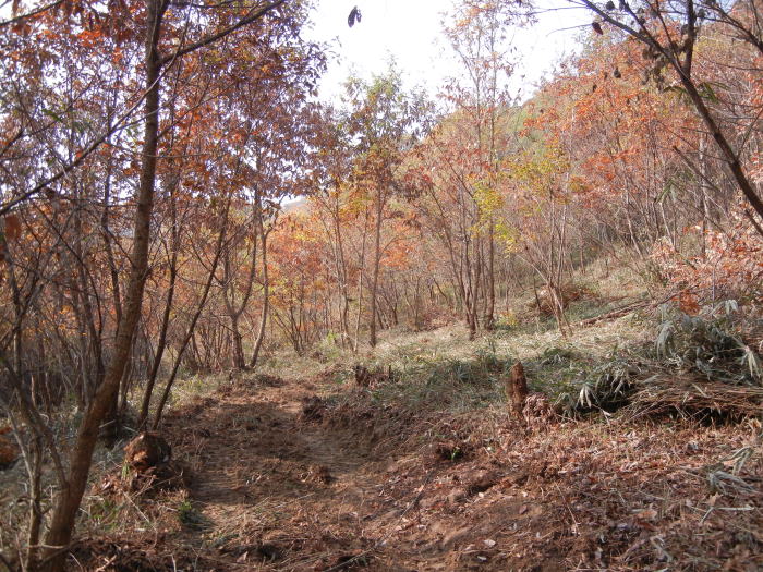 b0129962_12343188.jpg