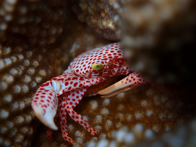 b0138768_22521553.jpg