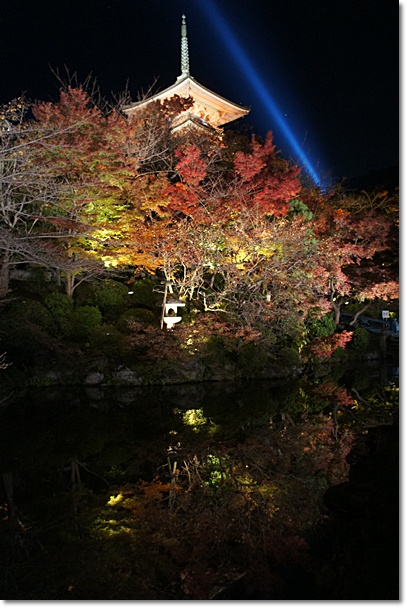 2011京の紅葉　　圓徳院・清水寺ライトアップ_e0177271_937745.jpg