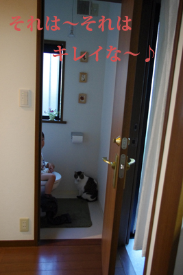 f0238772_20455629.jpg