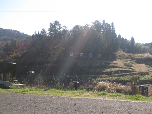 福島市東部から伊達市南部にかけての地区で、米から基準値超のセシウムが検出_a0087378_503457.jpg