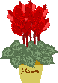 e0014678_2024096.gif