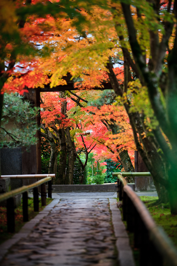 光悦寺！_b0128581_1981021.jpg