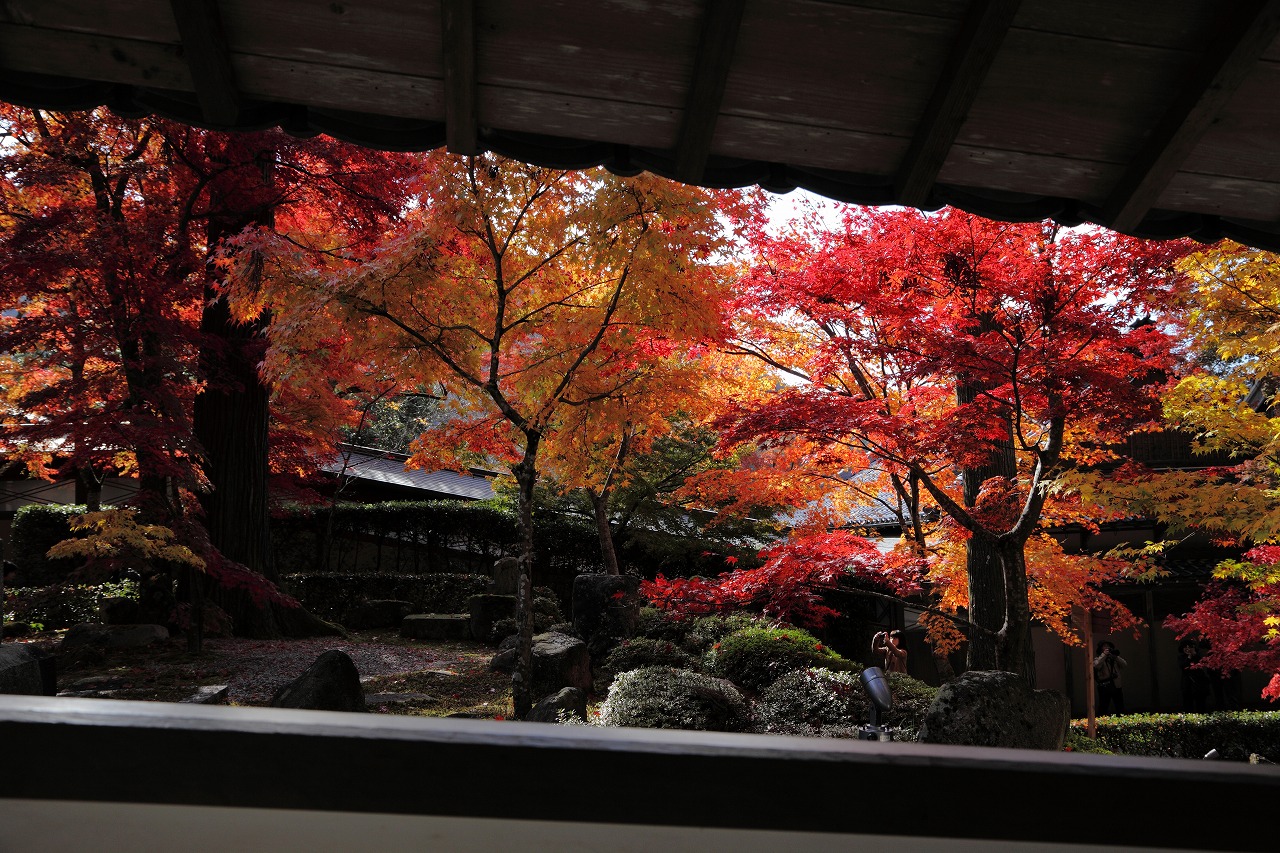 紅葉２０１１　永源寺_e0244181_21511381.jpg