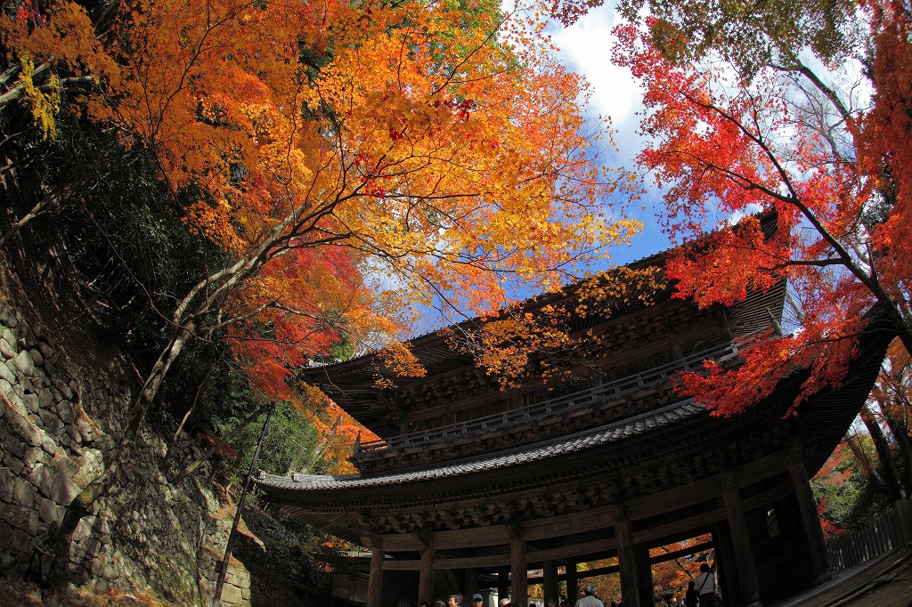 紅葉２０１１　永源寺_e0244181_21553056.jpg