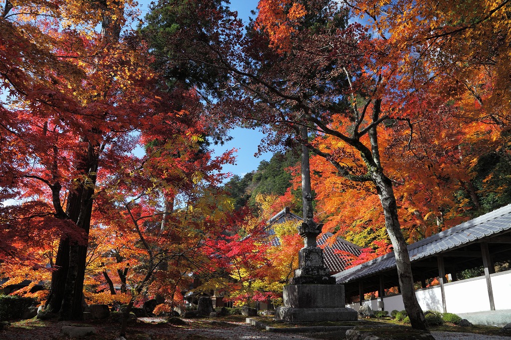 紅葉２０１１　永源寺_e0244181_21582454.jpg