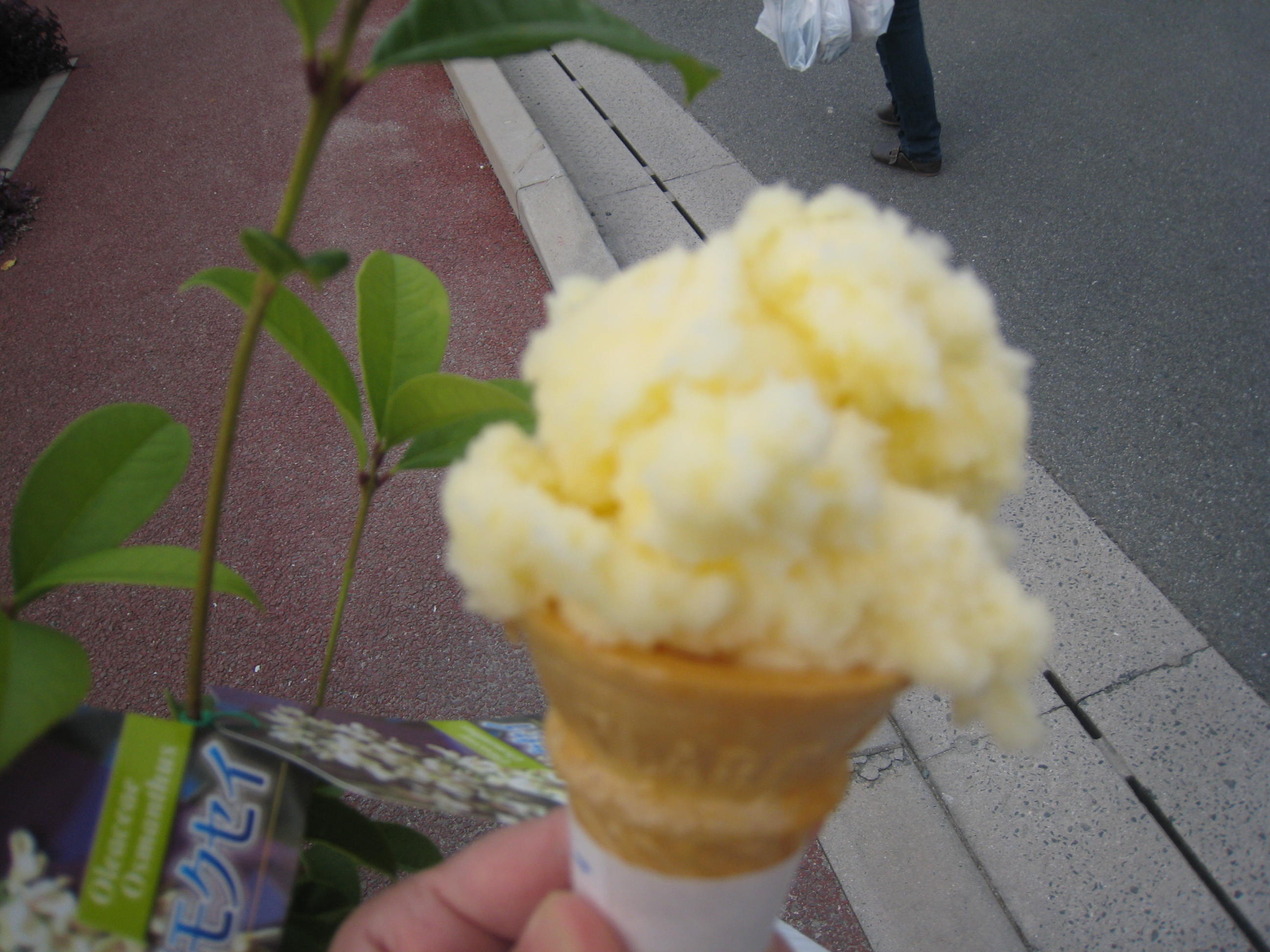 いつまでも初心者マーク(パソコン)_e0221583_1429335.jpg