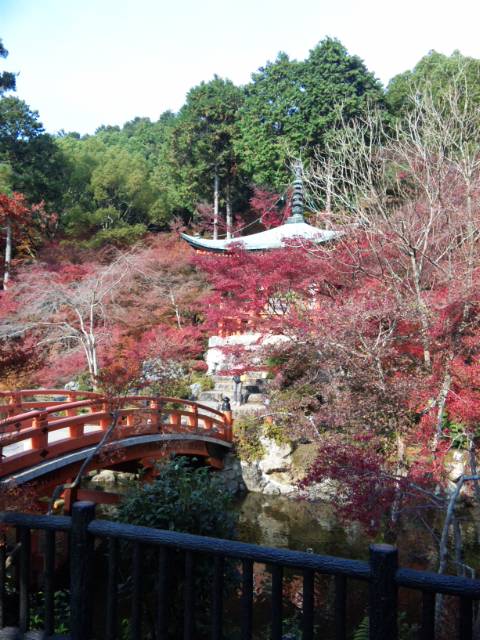 醍醐寺_f0197985_13234358.jpg