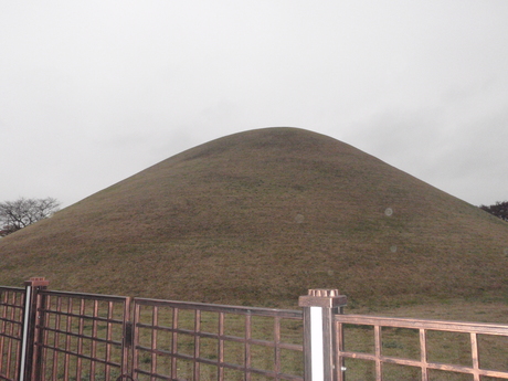 c0004987_21335863.jpg