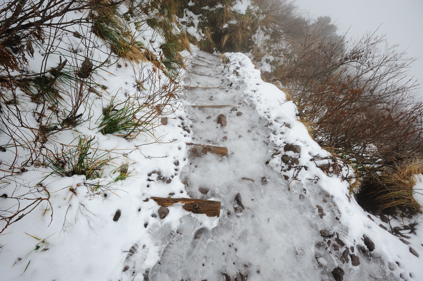 大山(弥山1709m)冬山1回目⑤_c0138991_20314290.jpg