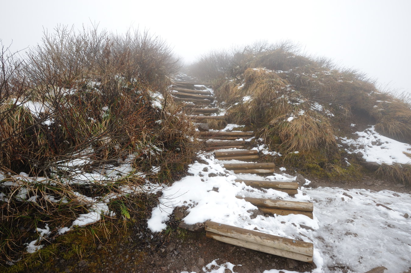 大山(弥山1709m)冬山1回目⑤_c0138991_2116176.jpg